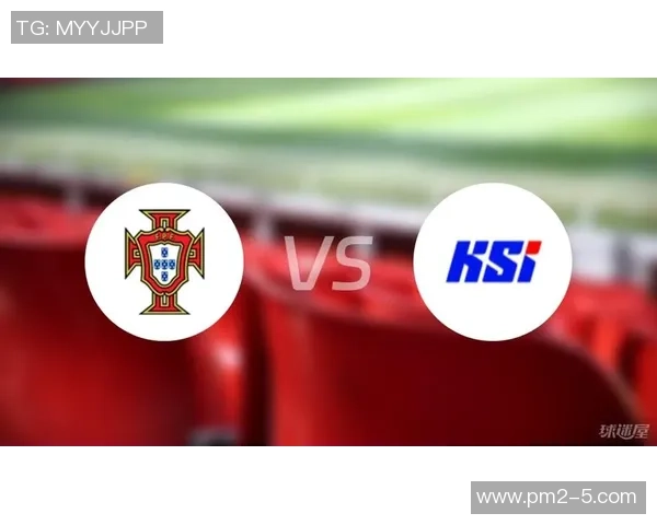 葡萄牙与冰岛足球对决数据分析及比赛回顾